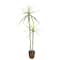 4ft. Yucca Faux Plant in Woven Basket by Ashland®